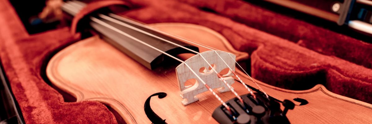 Violin lessons Orange Park FL